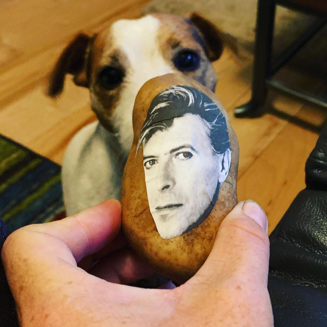 Mail A Potato Face