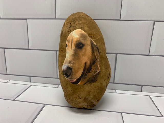 Dog Face Potato